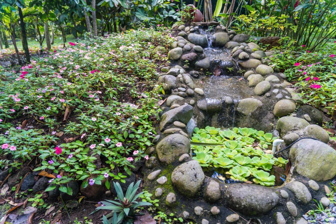 Hotel Vista Del Cerro La Fortuna Eksteriør billede