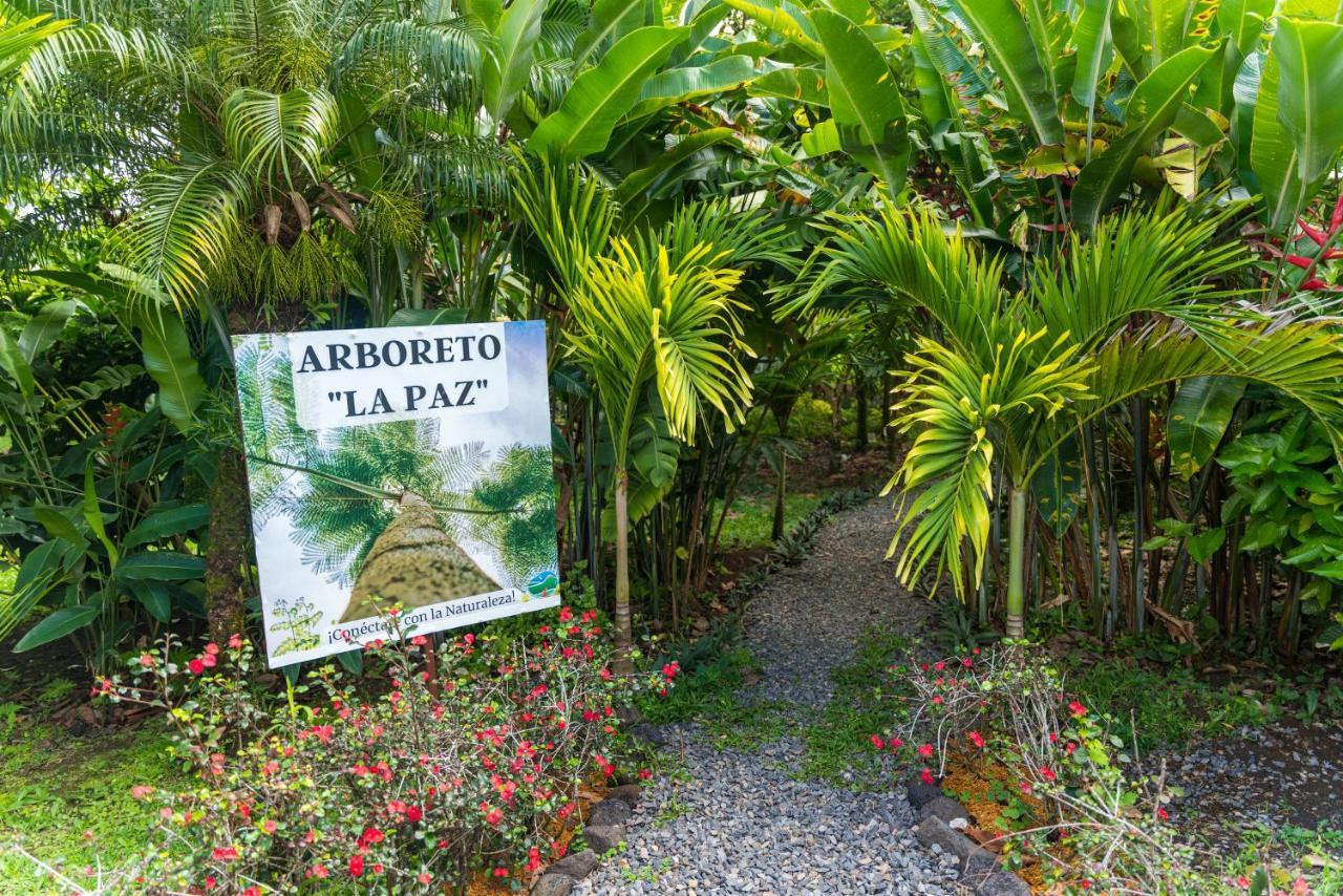 Hotel Vista Del Cerro La Fortuna Eksteriør billede